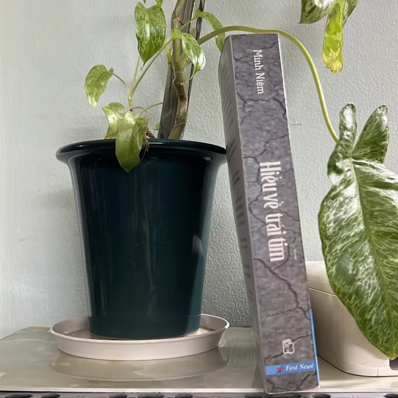 Hiểu về trái tim - Minh Niệm 736319