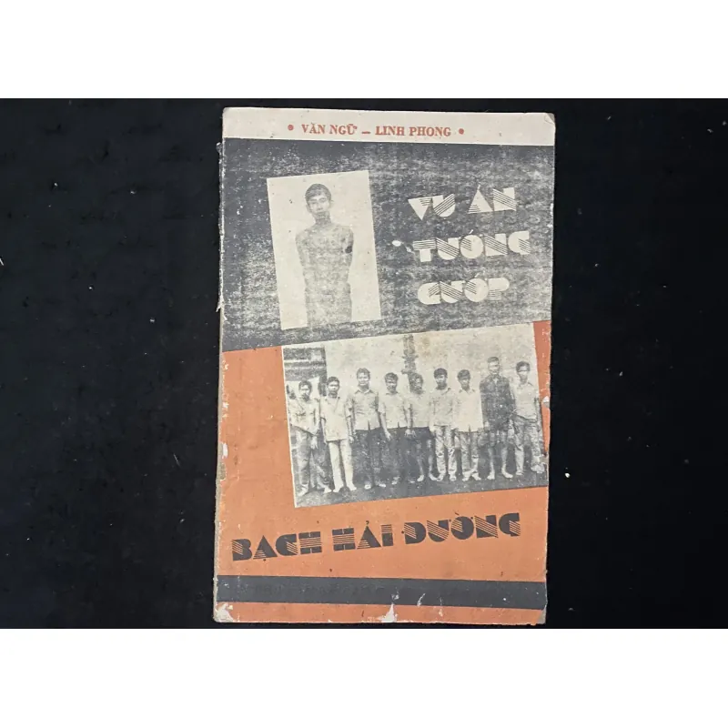 Vụ Án Tướng Cướp Bạch Hải Đường.-Vân Ngữ và Linh Phong. 1029512