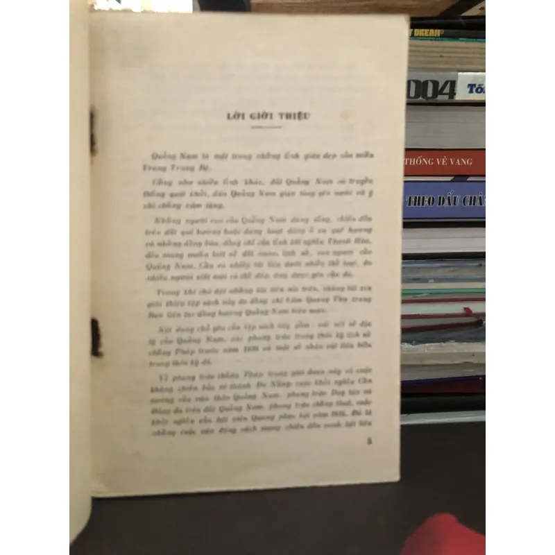 Quảng Nam - Địa lý, lịch sử, nhân vật - Lâm Quang Thự 993301