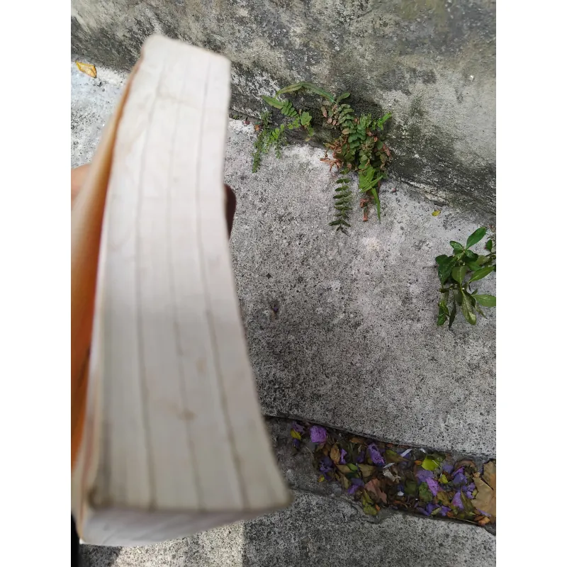 Từ điển thi ca Anh - Mỹ - Việt  1030155