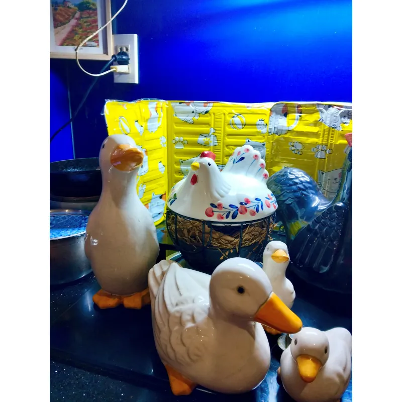 500k cho đàn vịt, đàn gà, 12 gà con, rổ đựng trứng 791105