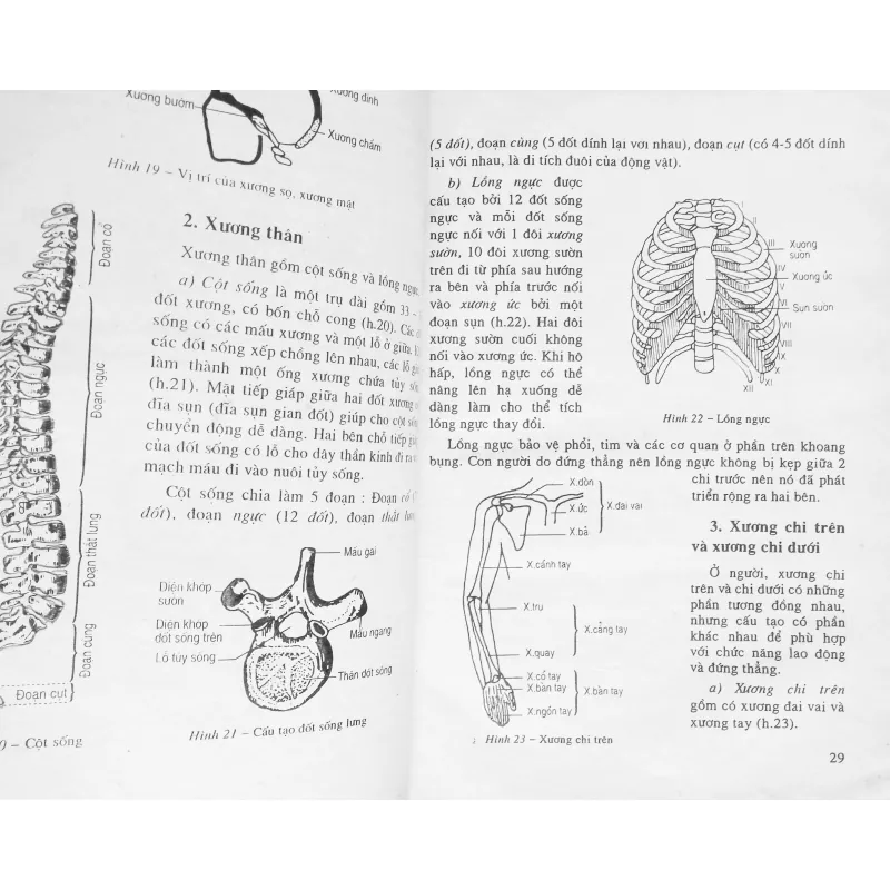 Sinh học lớp 9 xưa (Tập một) 7934
