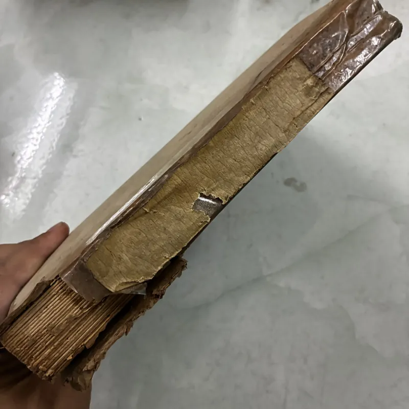 Từ điển Luyện Kim Anh - Việt 1024229