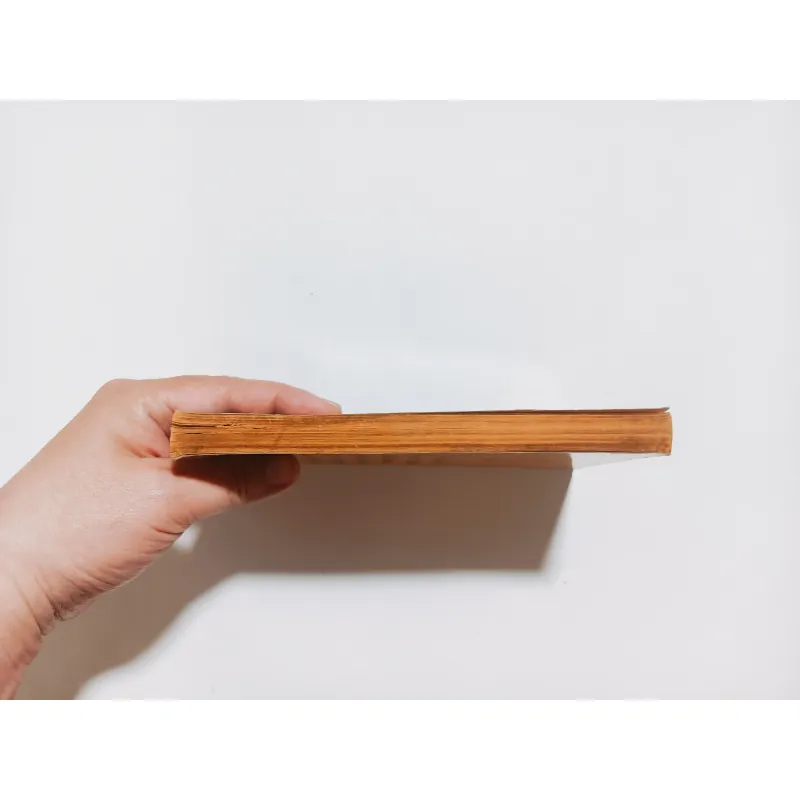 Bonjour Tristesse ( Buồn ơi chào mi) - Francoise Sagan 779976