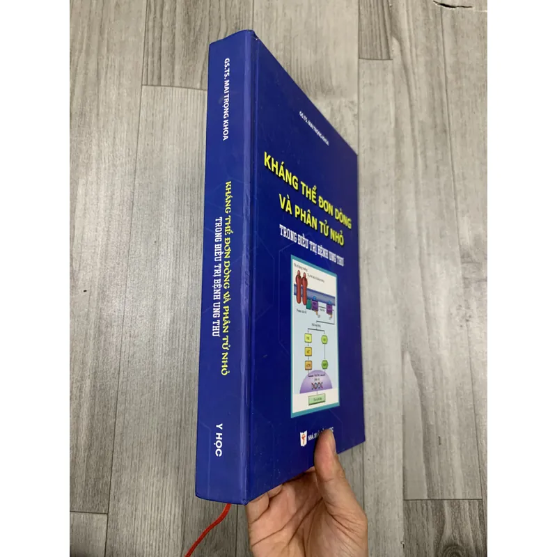 Kháng thể đơn dòng và phân tử nhỏ trong điều trị bệnh ung thư. 8a3 655247