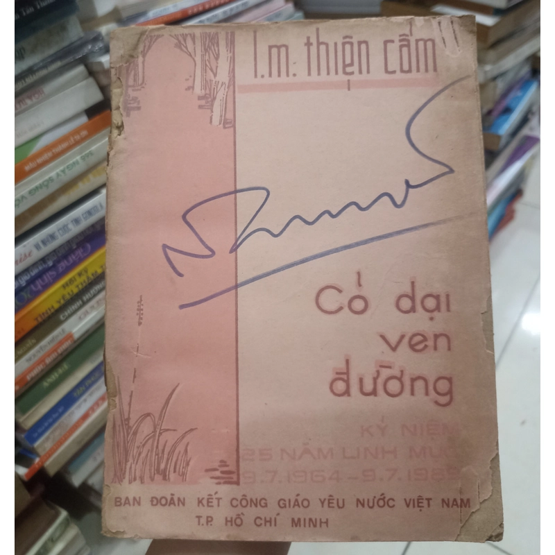 Cỏ dại ven đường 🌻😉 541381