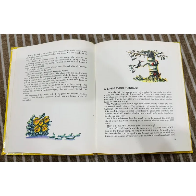 The Magic Tree (Cây thần kỳ) Bìa cứng  599391