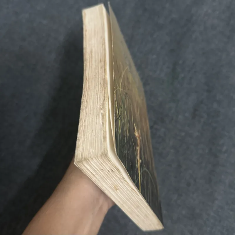 Bên bờ quạnh hiu - Quỳnh Dao 1031717