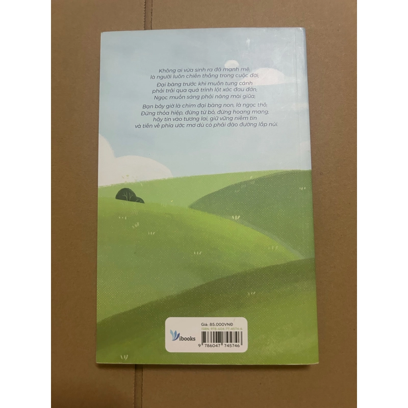 Ở lại thành phố hay về quê? 477119