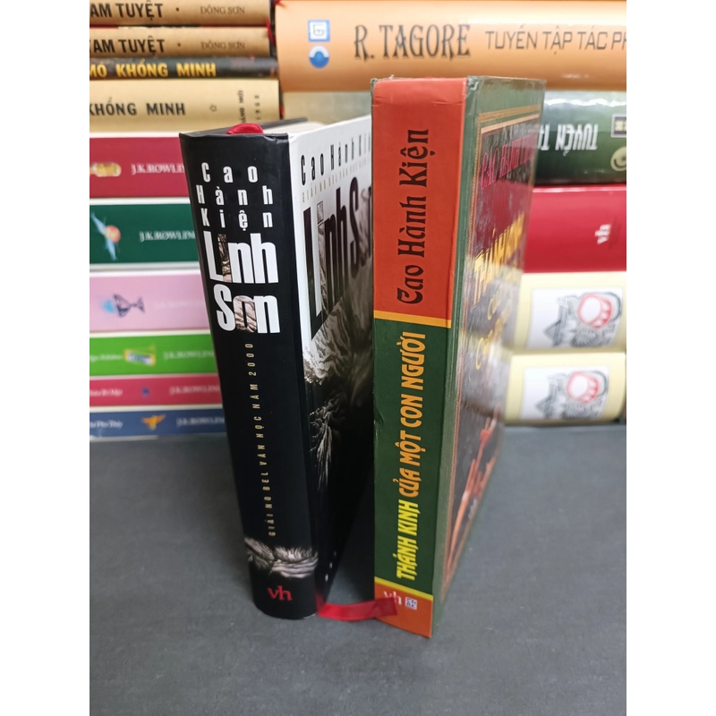Linh Sơn & Thánh kinh của một con người 492747