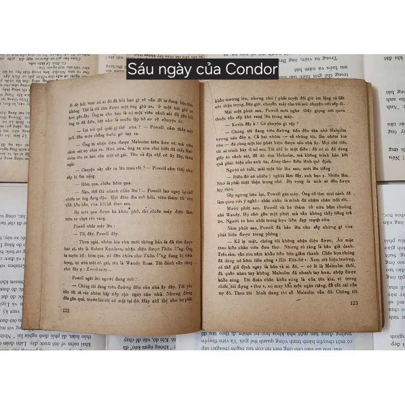 Tiểu thuyết trinh thám cổ điển SÁU NGÀY CỦA CONDOR - Tác giả: James Grady 703957