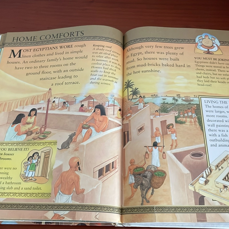 PICTURE BOOK The ancient Egyptians 536089