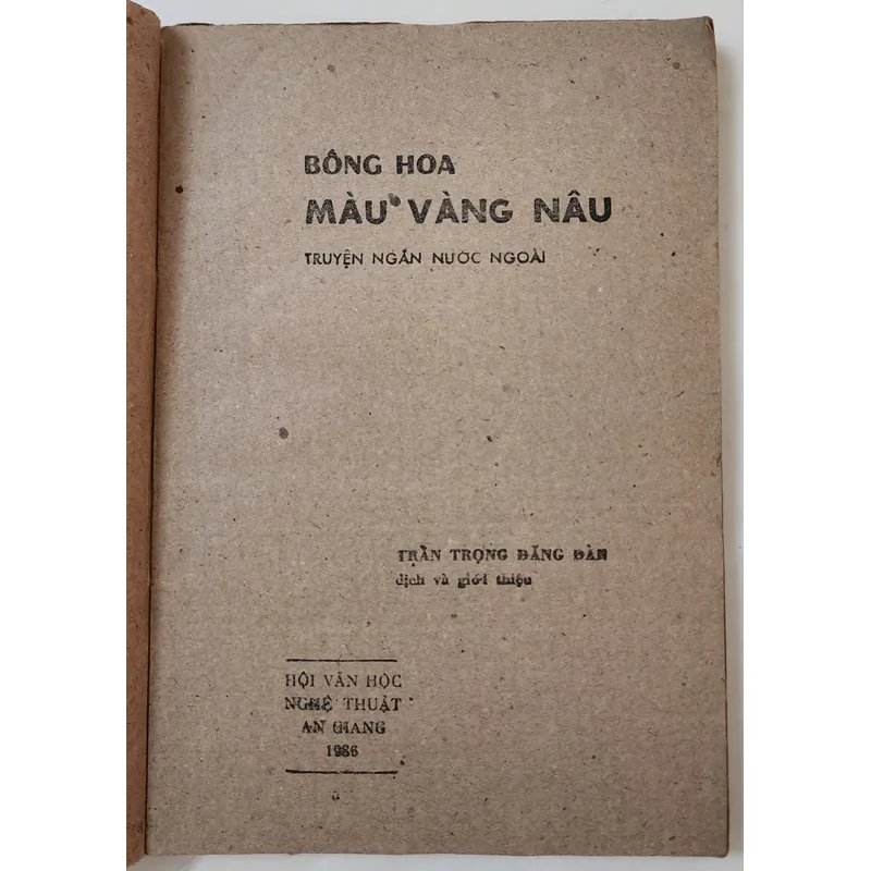 Truyện ngắn các nước: BÔNG HOA MÀU VÀNG NÂU

 708968