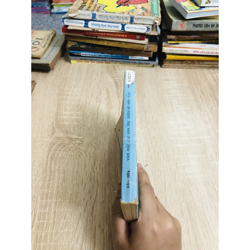 VĂN HỌC CÁC DÂN TỘC THIỂU SỐ VIỆT NAM 928944