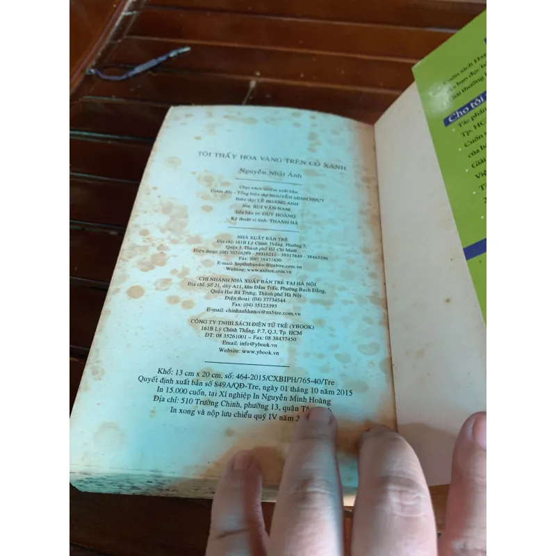 Tôi thấy hoa vàng trên cỏ xanh 1045100
