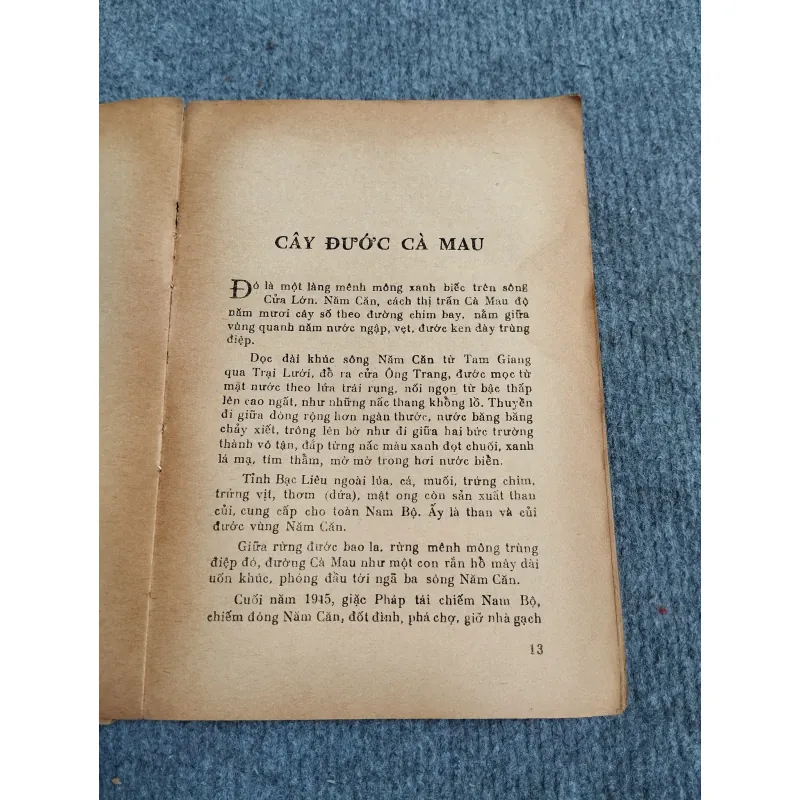 RỪNG ĐÊM XÀO XẠC - ĐOÀN GIỎI 689513