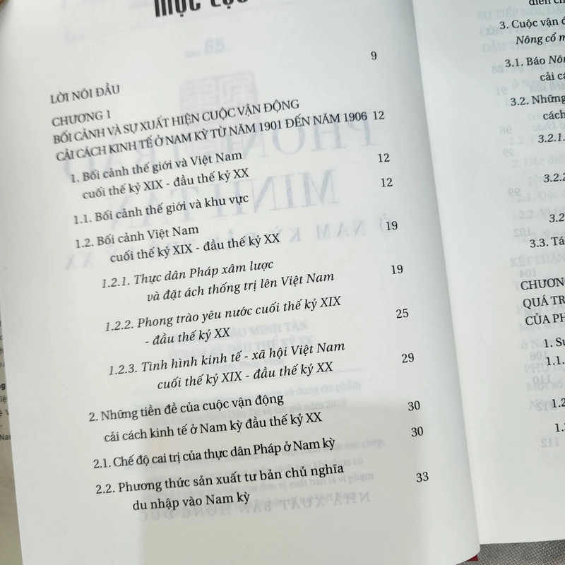 Phong trào Minh Tân ở Nam Kỳ đầu thế kỷ XX | bìa cứng đánh số  456001