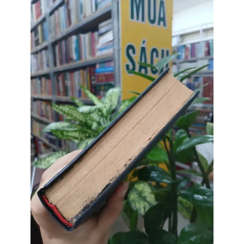 ĐIỆU RU NƯỚC MẮT - DUYÊN ANH 1036673