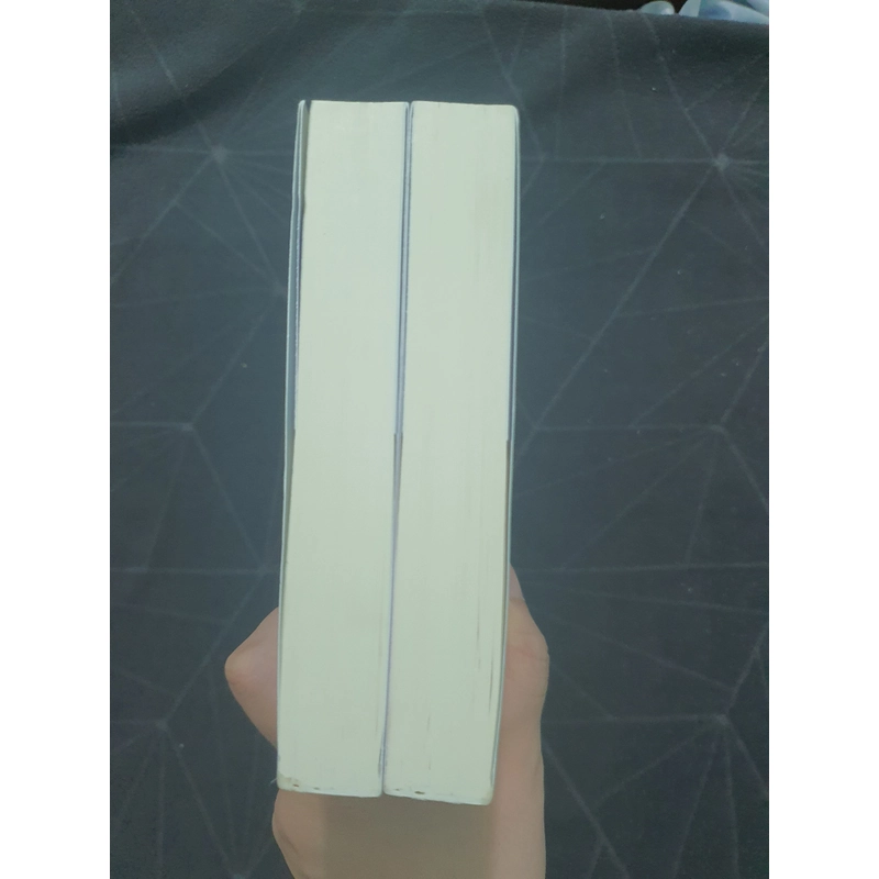 "Anh có quyền giữ im lặng" - Đào Đào Nhất Luân 497203