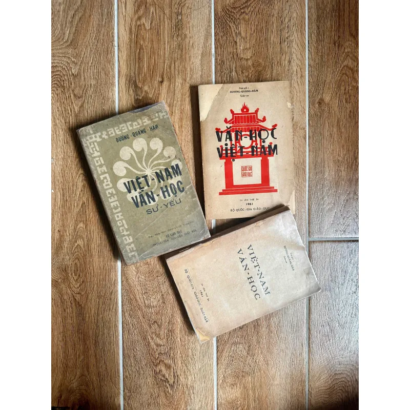Combo Dương Quảng Hàm Trước 75 - Việt Nam Văn Học Sử Yếu/Văn Học Việt Nam/Việt Nam Văn Học 745466