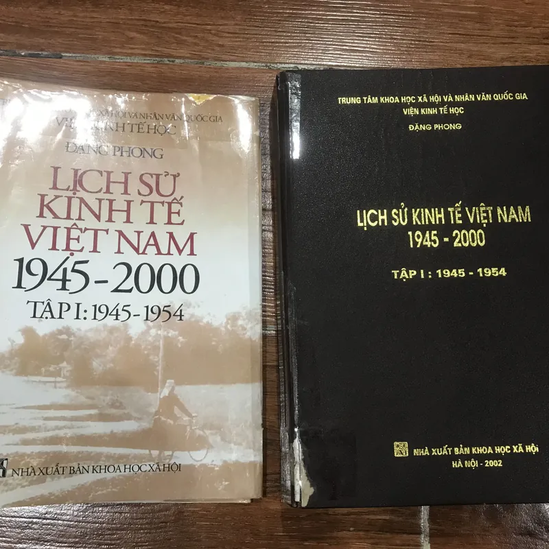 Lịch sử kinh tế Việt Nam 1945-2000 có 2 tập - Đặng Phong 709005