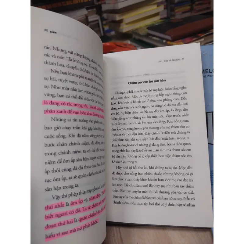 Sách: Giận - TG: Thích Nhất Hạnh (B1) 781850