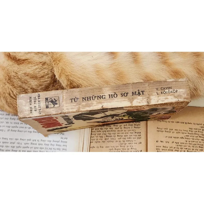 TỪ NHỮNG HỒ SƠ MẬT (sách viết về thế giới tìình báo) 702945