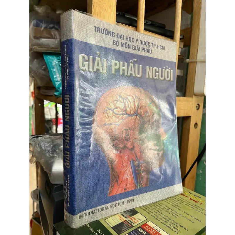 Giải phẫu người 558024