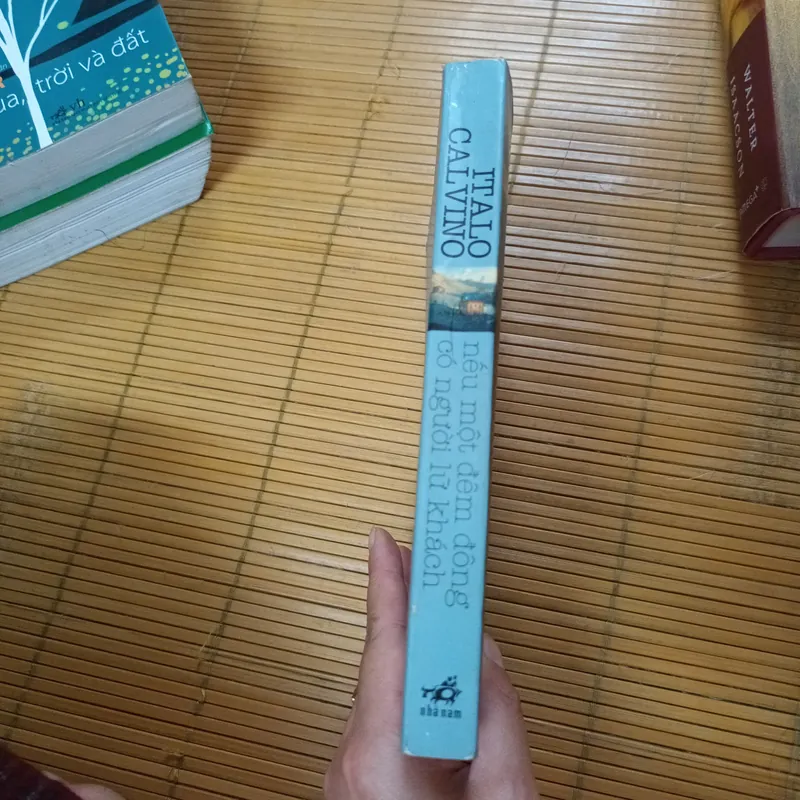Nếu Một Đêm Đông Có Người Lữ Khách - Italo Calvino 726539