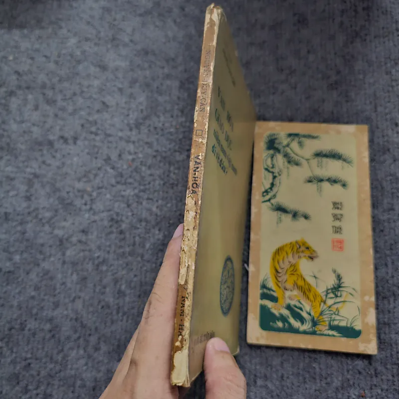 Văn hóa giáo dục miền Nam Việt Nam đi về đâu - Nguyễn Duy Cần 740519