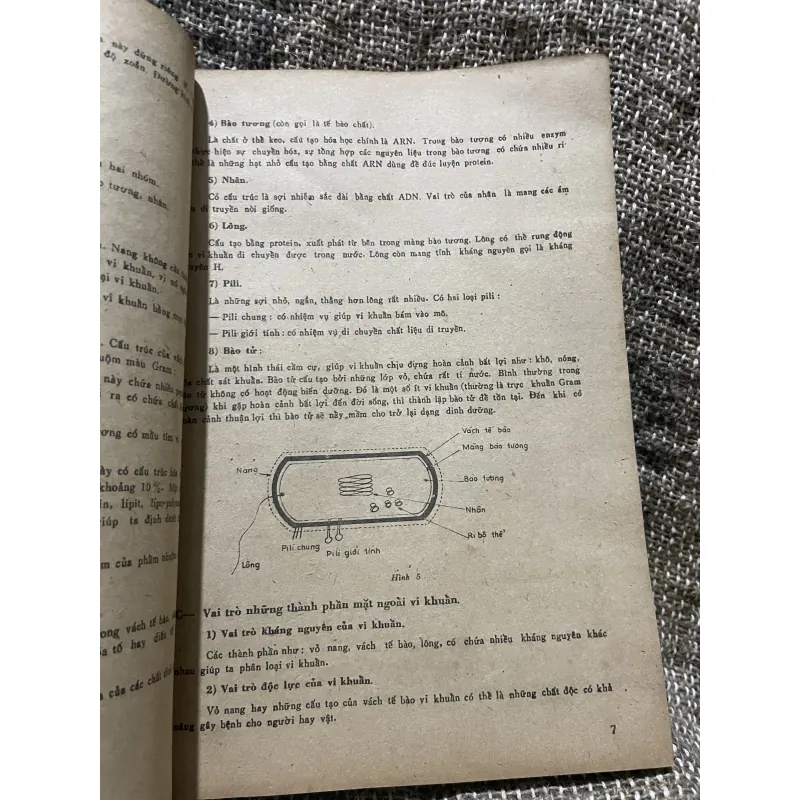 Vì khuẩn học - sách y khổ lớn, 150 trang  1009199