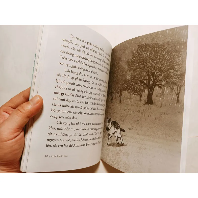 Chuyện Con Chó Tên Là Trung Thành 716477