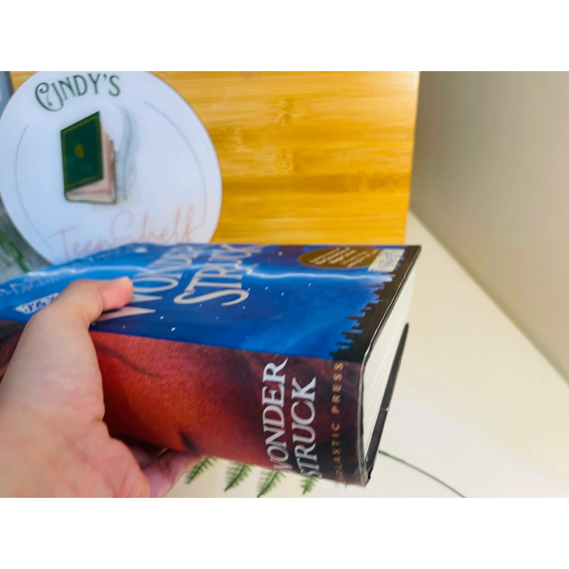 [Sách 2hand từ US] Like new 90% - Wonderstruck – Brian Selznick 472975