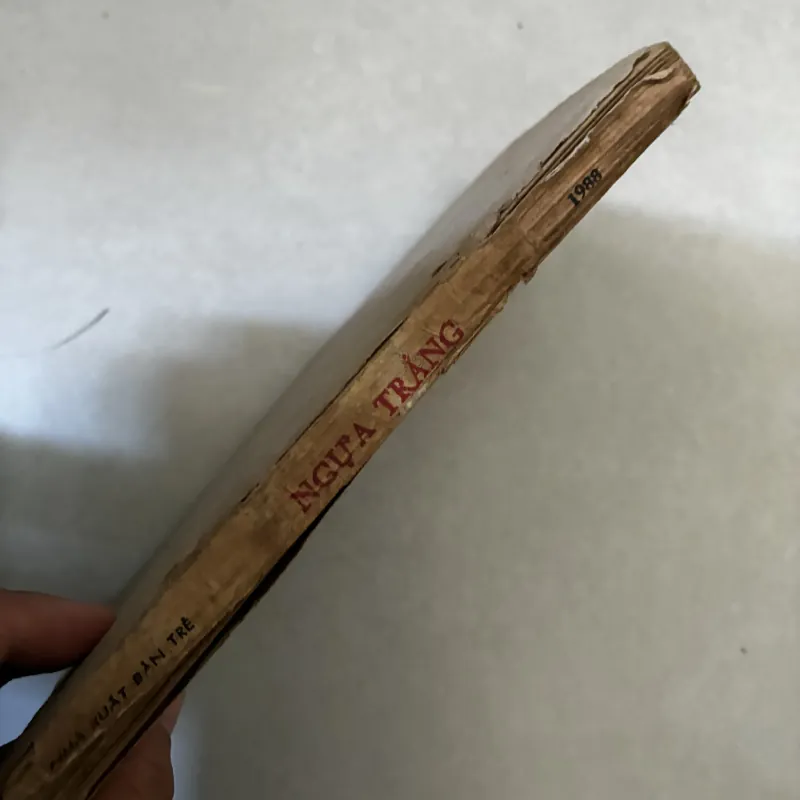 Ngựa trắng - Hoàng Nguyên Cát 1039297