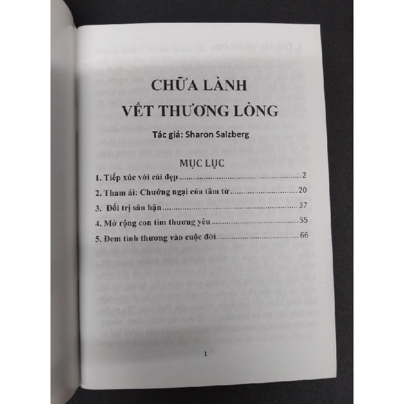 Chữa lành vết thương lòng mới 80% bẩn bìa, ố nhẹ HCM2410 Sharon Salzberg TÂM LINH - TÔN GIÁO - THIỀN 307614