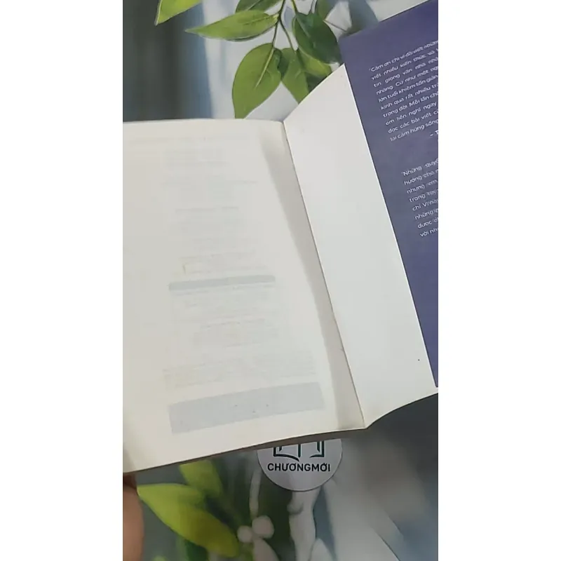 Tuổi trẻ đáng giá bao nhiêu - Rosie Nguyễn 688538