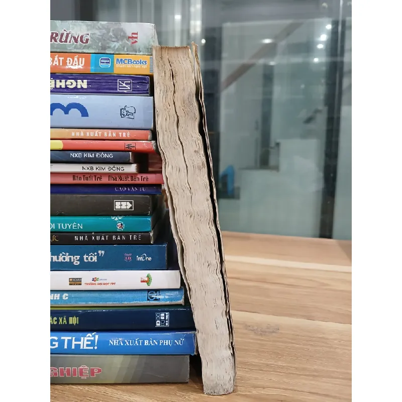 Người đi tìm bóng tối – Hoàng Ngọc Thư 560777