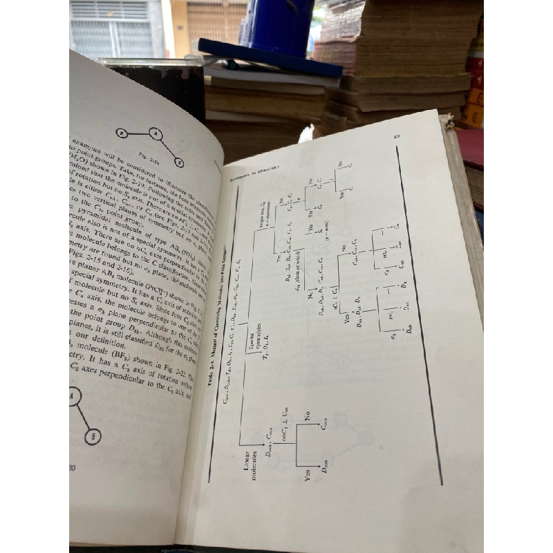 Introductory Group Theory and Its Application to Molecular Structure - J. R. Ferraro and J. S. Ziomek 325543