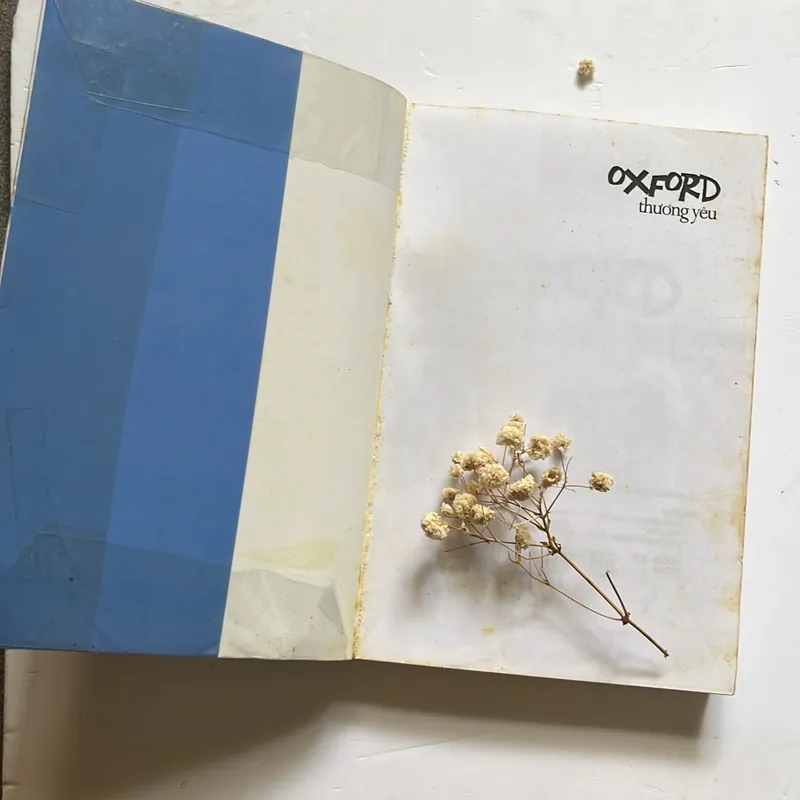 Bán sách cũ - Oxford thương yêu - Dương Thuỵ 564627