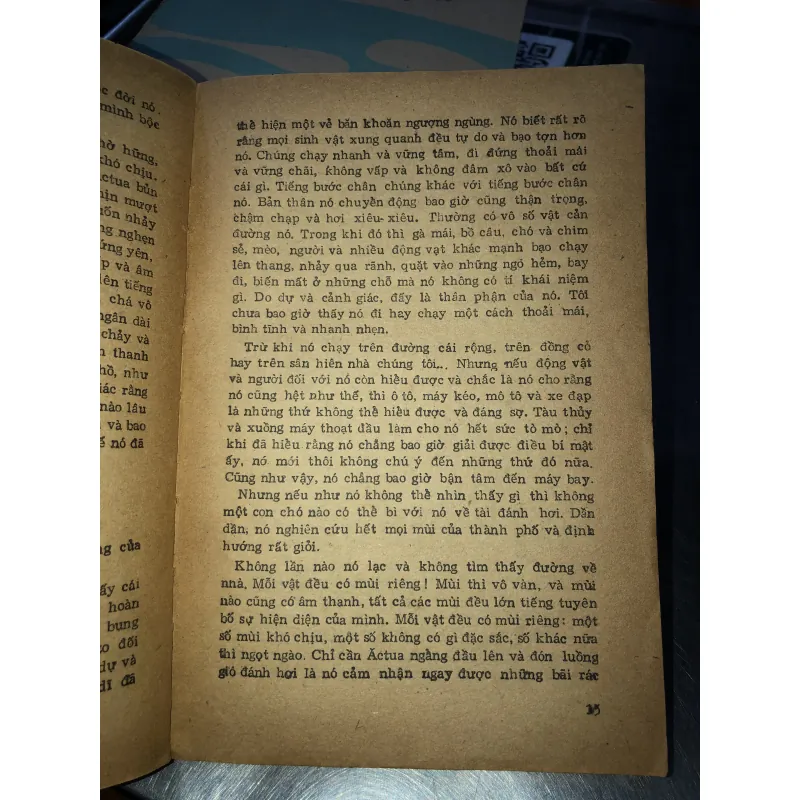 Adam và Êva - Iu.Kazakốp 928676