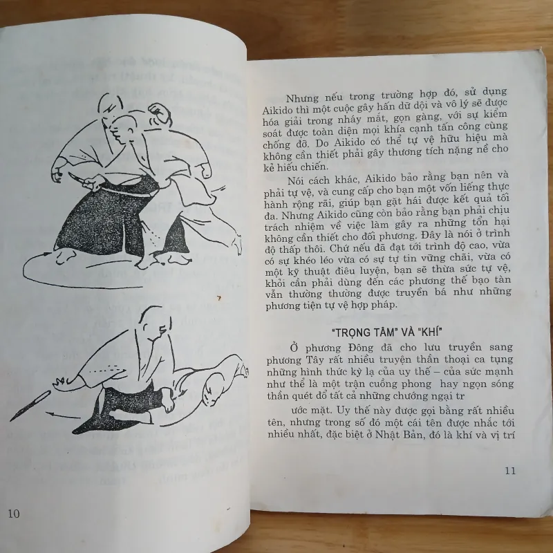 Võ Thuật Aikido - Võ Sư Oratti 957041