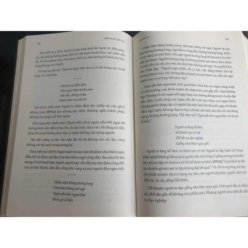 Bộ Kinh Xuất Diệu - Thích Minh Cảnh 699057