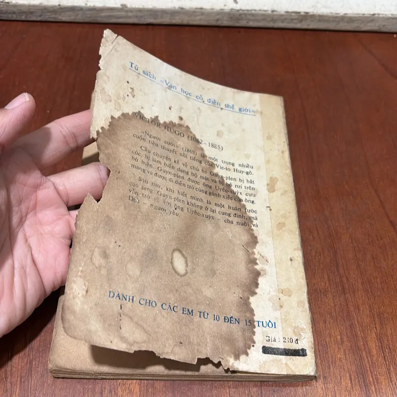 II Văn Học: Người Cười - VICTO HUYGO - 1988 751109