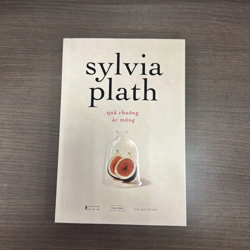 Quả chuông ác mộng - Sylvia Plath 733553