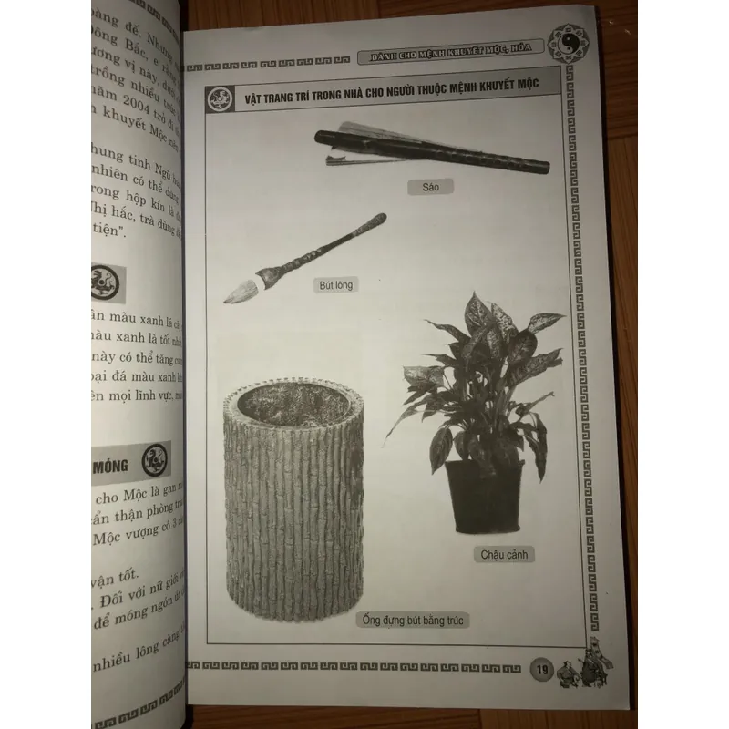 Phong thuỷ cải vận - Dành cho mệnh khuyết Mộc, Hoá 701568