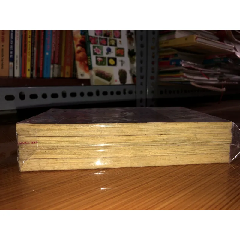 Hoàng tử ếch - Matsuri Hino 791753