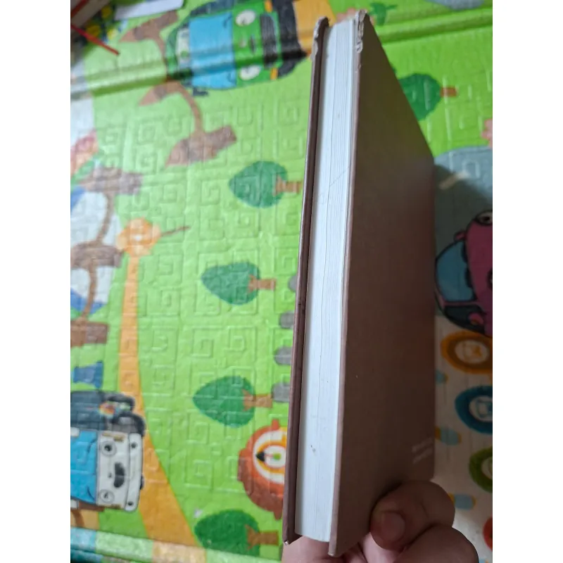 Lễ Lệ - Lễ Hội Ở Hội An 932147