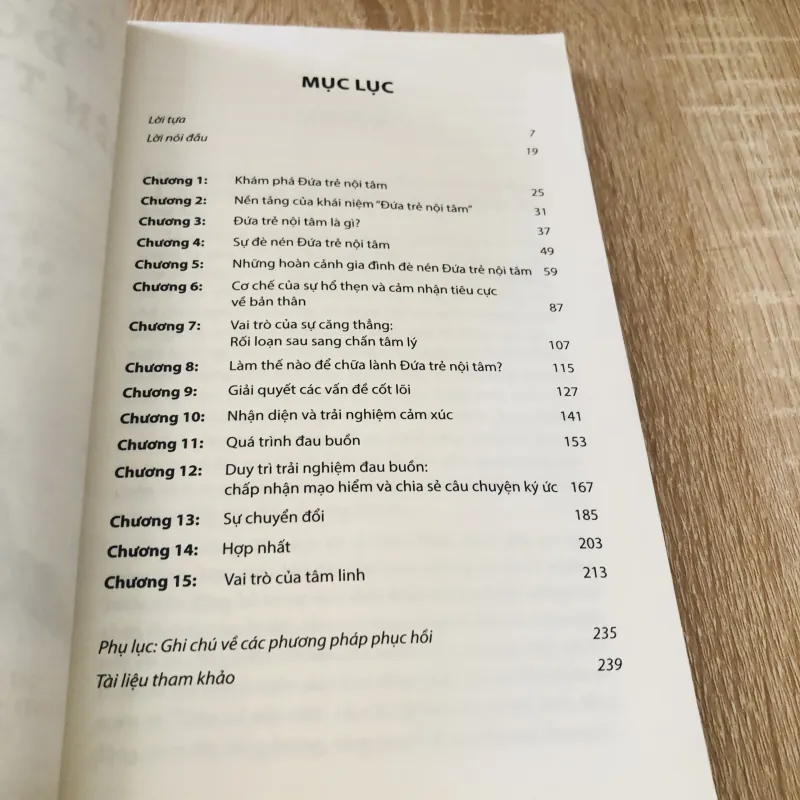 CHỮA LÀNH ĐỨA TRẺ BÊN TRONG BẠN 1004479