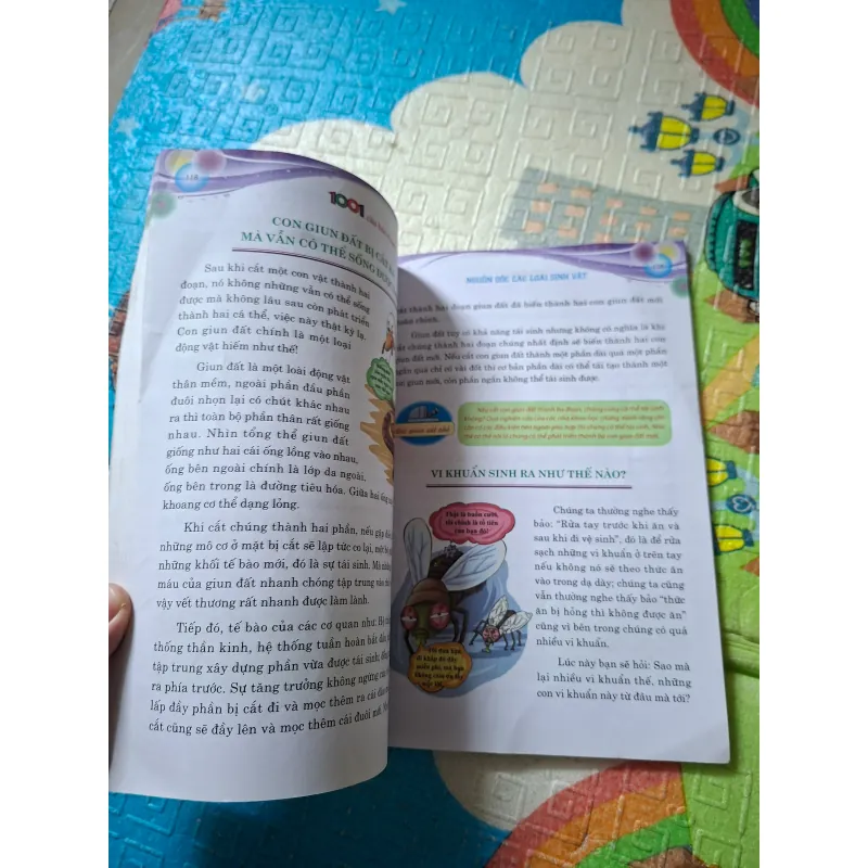 1001 Câu Hỏi Vì Sao - Nguồn Gốc Các Loài Sinh Vật 799951