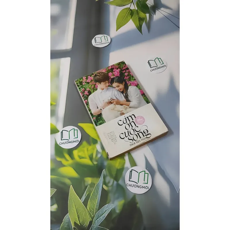 Cảm Ơn Cuộc Sống Một Lần Nữa 1018888